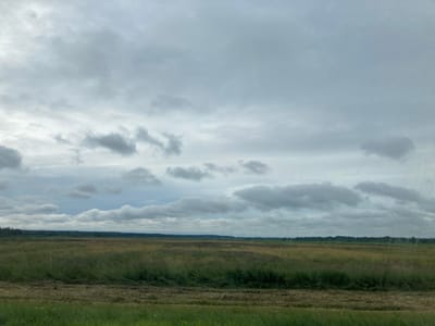 The image depicts a wide, open field under a cloudy sky. The field is covered with tall grass and some areas appear to have been recently mowed, leaving patches of dry hay. A line of trees forms the horizon in the distance. The sky is dominated by a thick layer of grey clouds, with some lighter patches suggesting the presence of sunlight. The scene appears to be in a rural or agricultural area.
