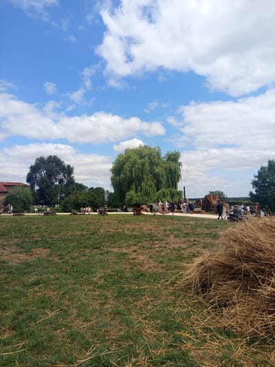 The image depicts an outdoor event or festival at the Parc de yesterday in Azannes-et-Soumazannes, France. In the foreground, a large pile of hay sits on a grassy field. In the middle ground, a group of people are gathered, observing various historical agricultural machines and equipment displayed along a dirt path. Several large trees, including a prominent weeping willow, and a building with a red-tiled roof are visible in the background. The sky is blue with scattered white clouds.
