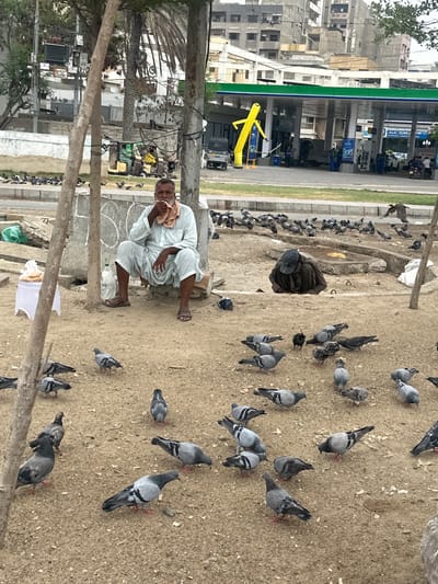 The image depicts a street scene in Karachi Division, Pakistan, with a prominent focus on a man seated on a concrete block, wiping his face with a cloth. He is dressed in traditional South Asian attire, a loose-fitting tunic and pants. Around him, numerous pigeons are scattered across the sandy ground, some pecking at the dirt, others preening.
In the background, a gas station with green and blue accents is visible, featuring an inflatable yellow figure and several people interacting near the pumps. A white vehicle and a motorcycle are also present at the gas station. Further back, multi-story buildings, characteristic of an urban environment, rise against a cloudy sky.
To the left of the seated man, a white stand holds a small pile of what appears to be food, possibly for the pigeons. A bottle of water is also situated near his feet. Another individual, wearing a dark hooded garment and a cap, is partially visible hunched over in the middle ground, also surrounded by pigeons. The overall environment suggests a public space, possibly a roadside area, with elements of daily life and urban infrastructure coexisting. The presence of pigeons suggests a location where feeding them is common.