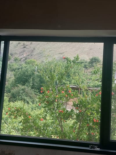 The image shows a view from a window looking out onto a lush, green landscape with a hillside in the background. A pomegranate tree with vibrant red flowers is prominently featured in the foreground, partially obscuring a rustic wooden structure behind it. The hillside appears dry and sparsely vegetated, contrasting with the dense foliage of the trees. The window frame is dark green. The scene is set in Areni, Armenia.
