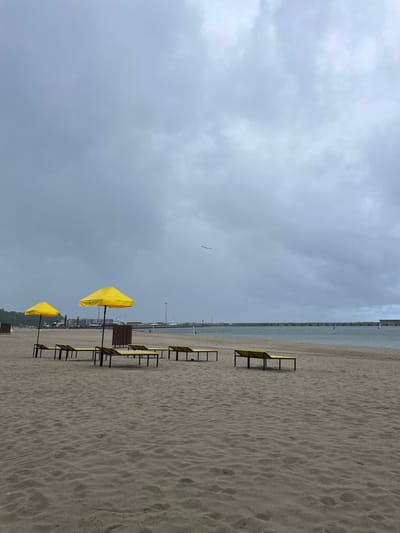 The image shows an overcast day at a beach in Pionersky, Russia. The sand is a light brown, with gentle ripples and footprints visible. In the foreground and midground, several yellow lounge chairs are arranged, some under yellow umbrellas. Behind the chairs, the sea is a muted blue-gray, meeting a long, gray breakwater that extends across the horizon. The sky is heavily clouded with shades of gray and white. A few distant boats and structures are visible along the coastline, and several birds are flying in the sky. The overall atmosphere is calm and deserted.