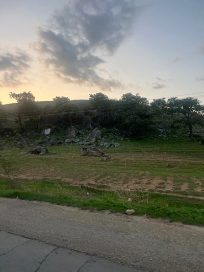 This image, captured in Ribina East, Nigeria, depicts a static outdoor landscape during either sunrise or sunset. The foreground features a dark grey asphalt road with visible cracks, bordering a strip of dry earth and sparse grass. Beyond this, a wide field of patchy green grass and exposed soil extends towards a rocky hill, exhibiting linear patterns consistent with terracing or planting rows. Small, young trees or shrubs are visible in spaced arrangements within this field, primarily on the left. Numerous grey boulders of varying sizes are scattered across the field and at the base of the rocky formation. The background is dominated by a rocky escarpment densely covered with mature green trees and foliage. A white rectangular object, possibly a sign or painted surface, is discernible on the rock face in the left-center. Dark utility lines run horizontally across the upper mid-ground. The sky above transitions from a warm, orange-yellow hue near the horizon to a lighter blue-grey, with scattered dark grey clouds. No individuals or animals are present.