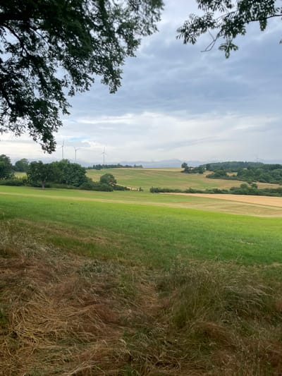 The image depicts a rolling rural landscape under a cloudy sky. The foreground is dominated by tall, dry grass and some green vegetation. In the mid-ground, a lush green field slopes upwards, transitioning into fields of golden crops and scattered trees. Further in the background, a line of trees forms a horizon, beyond which several wind turbines are visible, indicating an agricultural or open area. The overall impression is one of a serene, natural environment. The location is specified as Maar, Germany.