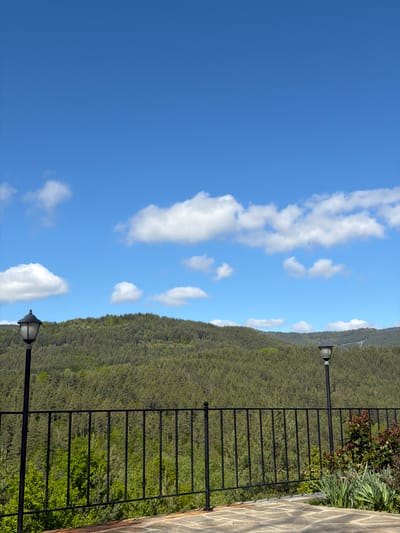 A daytime shot taken outdoors on a sunny day, likely in or near Кирково, Bulgaria, shows a clear blue sky with scattered white clouds dominating the left half of the image. The right half displays a densely forested mountain or hillside, partially obscured by a black metal railing. Two antique-style lampposts flank the scene, one at the bottom and one at the top of the railing. Vegetation, including small bushes and tall grasses, grows behind the railing. A stone or tiled walkway is visible to the far right. The image has been rotated 90 degrees counter-clockwise.