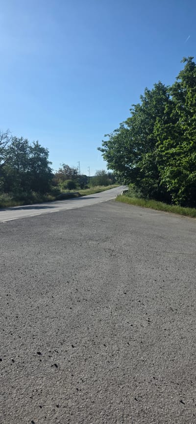 The image depicts a paved road in Prilep, Bulgaria. The road surface is dark gray asphalt. A line of trees and vegetation borders the left side of the road, with a clear blue sky visible above. Power lines are visible in the distance.
