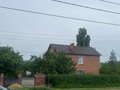 This is a medium-angle, exterior shot of a two-story brick house with a dark tiled roof, located in Borisoglebsk, Russia. The house has several windows with white frames. A brick chimney is visible on the right side of the roof. A dense, green hedge forms a barrier in front of the house, obscuring the lower portion of the building. A brick fence with decorative metal gates runs along the front of the property. Mature trees surround the house, with some foliage extending above the hedge. Overhead, several power lines stretch across the frame, and the sky is overcast and light gray. The scene appears to be a residential area. No people are visible.