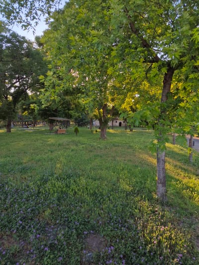 The image depicts a park in the city of Niš, specifically within the municipality of Crveni Krst, Serbia. The scene is dominated by lush green grass and mature trees with broad leaves, characteristic of a temperate climate. Sunlight filters through the canopy, casting dappled shadows on the ground, indicating it is either morning or late afternoon. In the mid-ground, a wooden swing set with a covered roof is visible, and a person is seated on the swing. A few other individuals are seated on the grass in the distance. There is a small, stone-built structure with arched openings visible further back in the park. The foreground features a dense ground cover of grass interspersed with small purple flowers. A paved pathway is partially visible on the right side of the image, bordering the park. The overall impression is of a tranquil, public green space.
