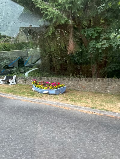 In the foreground, a grey asphalt road with a concrete curb runs horizontally across the frame. Behind the curb is a patch of dry, yellowish-green grass, bordered by a low, rough-hewn stone wall. To the left of the wall, a white, ornate bench sits on the grass. To the right of the bench, and partially obscured by the stone wall, is a blue rowboat that has been repurposed as a planter. The boat is filled with a vibrant display of pink and yellow flowers. Behind the stone wall, a dense collection of trees with dark green foliage dominates the midground. In the background, reflected in a window, a light-colored house with a dark roof and a chimney can be seen amongst the trees. The image appears to have been taken from a vehicle, as evidenced by the streaks and reflections on the window. The scene is located in Courtown, Ireland, as indicated by the specific details of the architecture, vegetation, and style of the bench.