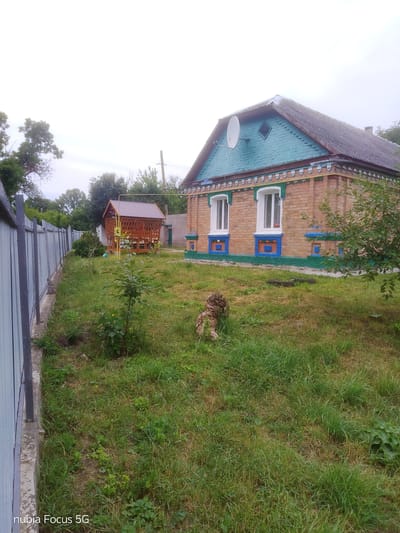 A rural property in Sestrynivka, Ukraine features a single-story brick house with a teal-colored decorative trim under the roofline and around the windows. The house has a dark grey, corrugated roof and two white-framed windows visible on the side. A satellite dish is mounted on the upper portion of the house. Adjacent to the house is a small, wooden gazebo with a brown, pitched roof, currently empty. A grey metal fence runs along the left side of the property, bordering a grassy yard with scattered trees and bushes. A small tree sapling is planted in the foreground, and a carved wooden stump sits on the lawn to the right of the sapling. The sky is overcast.