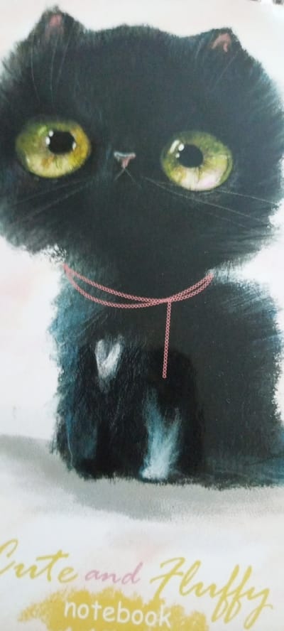 The image is a close-up of a drawing or illustration of a black cat. The cat has large, bright green eyes and a fluffy texture. It is wearing a thin pink chain around its neck with a small, lighter pink pendant that resembles a heart. There are some white and light blue markings on the cat's chest and paws. Below the cat illustration, the words "Cute and Fluffy" and "notebook" are visible in a stylized font, suggesting the image is from a notebook cover. The background is a plain white. There is no indication of the city of Набережный, Russia, or any other location within this image.