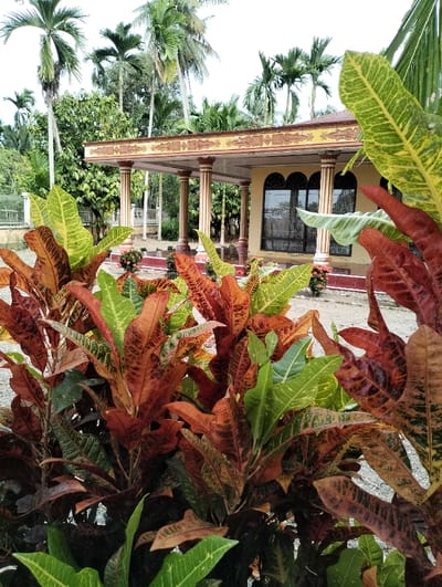 The image depicts a static outdoor scene in Jambo Dalam, Indonesia, featuring architectural and botanical elements. In the foreground, a dense cluster of vibrant foliage dominates, characterized by large, ovate leaves exhibiting a mix of red, orange, green, and yellow coloration, consistent with Croton plants (Codiaeum variegatum). No individuals are present.
In the midground, a single-story building with a light yellow/cream facade is visible. It features a covered porch supported by at least six fluted columns, also in a light yellow/cream hue, with darker bases. The porch roof has a reddish-brown trim, and its fascia board is adorned with ornate yellow patterns. Below the porch, a red-tiled base or planter runs along the building's foundation, containing small red-flowering plants near the columns. The building's front wall includes multiple rectangular windows with dark frames, positioned below arched architectural details.
The background consists of a bright, overcast sky and numerous tall palm trees with slender trunks and green fronds, indicative of a tropical environment. Additional green vegetation, including shrubs and trees, is also present behind the building. The ground area in front of the building appears to be a light-colored, possibly unpaved, surface.