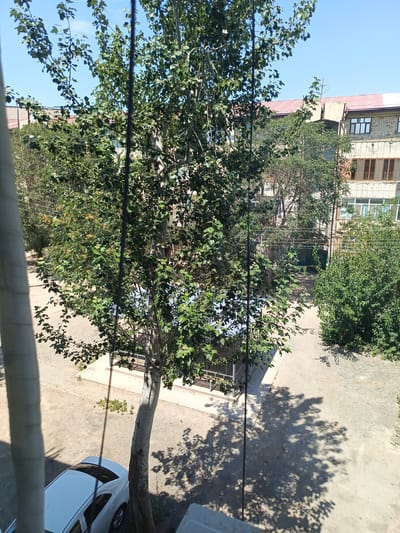 This image depicts an outdoor courtyard in Nukus, Uzbekistan, bathed in bright sunlight, suggesting a warm day. A large tree with dense green foliage dominates the foreground and middle ground, casting distinct shadows on the ground. The tree trunk is rough and textured. To the left of the tree, a white car is parked on a gravel and dirt surface. Behind the tree, a multi-story building is visible, constructed with brick and featuring multiple windows, some with wooden frames. The building's roof is red. Vegetation, including bushes and smaller trees, is scattered throughout the scene. Electrical wires are strung across the area. The overall impression is a typical urban courtyard environment in Central Asia.