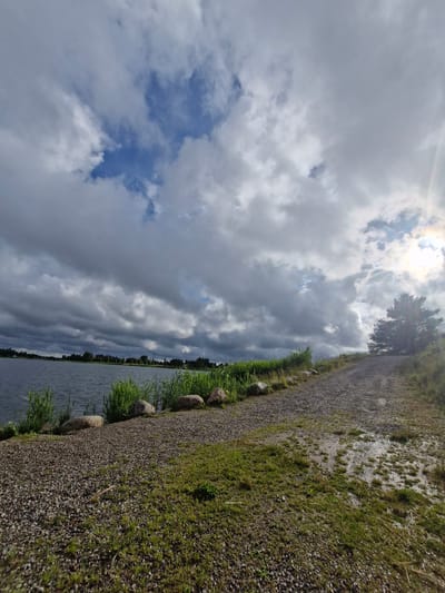 The image depicts a natural landscape scene, likely a park or recreational area near a body of water. The foreground features a gravel path with scattered green grass and some puddles, suggesting recent rain. Large, rounded stones are placed along the edge of the path and the water. The middle ground is dominated by a body of dark water, bordered by tall green reeds and grass. A line of trees forms a distant shoreline. The sky is a dramatic mix of dark, heavy clouds and patches of bright blue sky, with sunlight breaking through on the right side of the frame, creating a lens flare effect. A single, mature pine tree stands on the right side of the path, silhouetted against the sky. The overall impression is one of a slightly overcast but potentially sunny day in a serene, natural setting. The location is identified as Gargždai, Lithuania. There are no people or animals visible in the image.