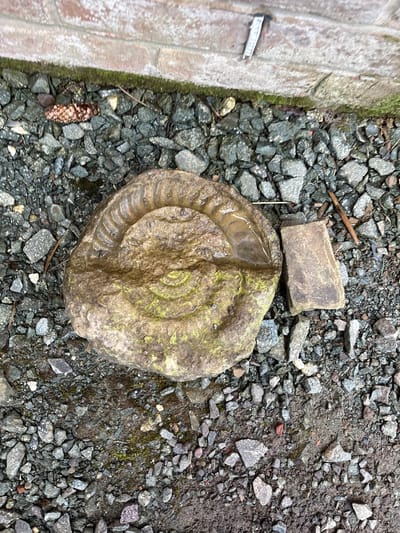 The image depicts an outdoor scene in Stiperstones, United Kingdom. A large, circular, weathered stone with a distinct spiral pattern, possibly an ammonite fossil, rests on a bed of small, grey gravel stones. The stone has a depression filled with water. A smaller, rectangular stone sits adjacent to the larger stone. To the left, a brick structure is partially visible, covered with moss. A pine cone lies near the brick structure on the gravel. The overall environment appears damp and natural.
