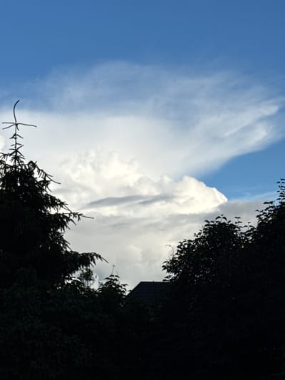 The image shows a silhouetted dark green coniferous tree on the left side, with its branches extending upwards and to the right against a sky with white and grey clouds. To the right of the coniferous tree, there are dark silhouettes of deciduous trees and foliage, with a dark-tiled roof of a building visible between them. The sky is partly blue, with large, fluffy white clouds that transition to grey. The overall scene suggests an outdoor view, likely from a residential area in Biržai, Lithuania, given the presence of trees and a building. There are no people or animals visible in the image.