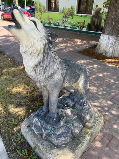 In Takhtamukai, Russia, a sculpture of a grey wolf stands on a stone pedestal on a paved walkway. The wolf, with its mouth open in a howl, is positioned in front of a building with a mural depicting various animals, including a bear, a pheasant, and a wolf, set against a backdrop of trees. The sun casts shadows on the brick-paved ground, and a large tree trunk with white paint marks is visible to the right of the sculpture. Nearby, grass and some plants grow on the left side of the image, and several cars are parked on a road in the background.