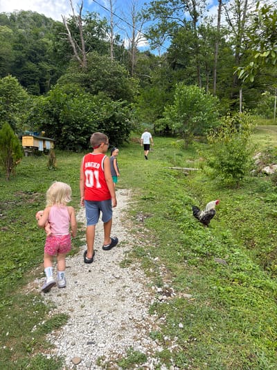 In Semenovka, Russia, a group of children walks along a gravel path in a grassy area surrounded by lush trees and vegetation. In the foreground, a young girl in a pink tank top and patterned shorts, holding a doll, walks ahead of a boy wearing a red basketball jersey with "UNITED 01" on the back and blue shorts. Another child in a grey tank top and green shorts walks behind them. Further in the background, a man in a white t-shirt and black shorts walks away from the camera. A rooster with black, white, and red plumage stands in the grass to the right of the path. In the distance, a yellow and white beehive is visible among the trees. The sky is partly cloudy with blue patches visible.