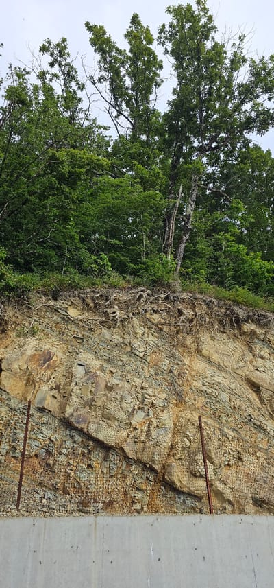 The image depicts a natural embankment in Lermontovo, Russia, featuring a layered rock face partially covered by a wire mesh for erosion control. The rock layers are a mix of tan, brown, and grey, with visible stratification and evidence of weathering. Roots from vegetation above protrude from the top of the embankment. At the base of the embankment, a concrete wall is visible. The sky is overcast. The scene appears to be a roadside cut or a natural slope stabilization effort.