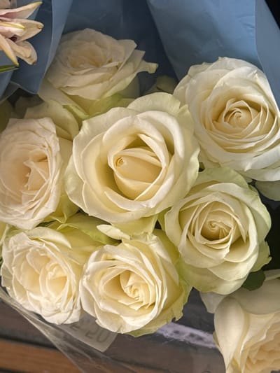 A close-up shot captures a bouquet of delicate, creamy white roses. The roses are in full bloom, their petals gracefully unfurling to reveal their centers. The arrangement is wrapped in blue paper, with hints of clear plastic cellophane. At the bottom left, the tip of a lily is also seen. The overall image conveys freshness and beauty.