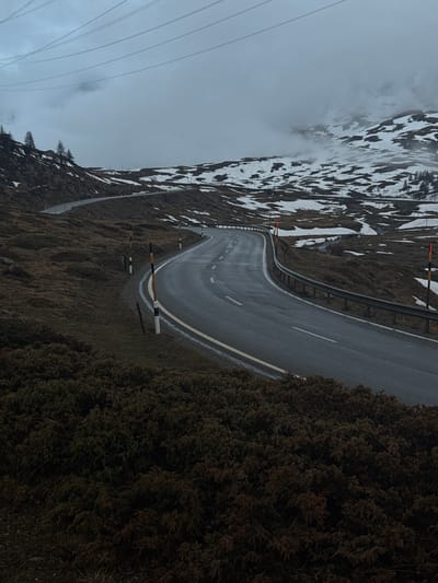 The image displays a winding mountain road in a cold, overcast setting, indicative of a high-altitude pass near Pontresina, Switzerland. The asphalt road, appearing wet from recent precipitation, curves through the center-left of the frame. It features clear white solid and dashed lane markings, along with a yellow solid line. A metal guardrail runs alongside the left edge of the road, and several short, striped (black and white, black and yellow) poles are positioned along the roadside, likely snow depth markers.
To the left of the road, a rugged, snow-dusted mountainside ascends into a cloudy or foggy sky, which partially obscures the distant peaks and creates a muted, diffused light. A few sparse, dark trees can be seen clinging to these slopes. Multiple power lines stretch horizontally across the upper left quadrant of the cloudy sky. On the right side of the road, the terrain is covered by dense, dark evergreen shrubbery or mossy vegetation, providing a deep green and brown texture.
The overall atmosphere is quiet and solitary, with no people or vehicles visible. The overcast sky and the wet, cold appearance of the landscape suggest a cool day, possibly in late autumn, winter, or early spring. No visible text is present in the image.