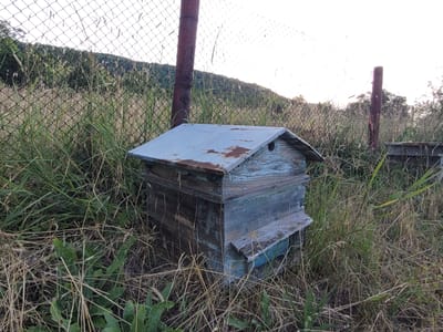 An old, weathered blue beehive sits in the tall grass beside a chain-link fence in Gorna Verenitsa, Bulgaria. The hive has a rusted, light blue metal roof and its wooden sides are peeling and faded. A rusty red metal post is visible next to the beehive, part of the fence that encloses a grassy hillside. Another similar beehive is partially visible in the background. The sky is overcast, and the sun is low on the horizon, casting a soft light on the scene.