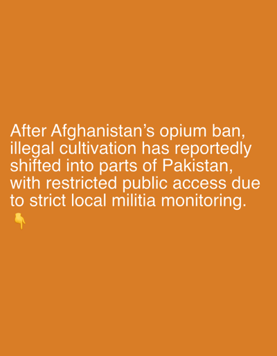 The image contains text on an orange background stating that after Afghanistan's opium ban, illegal cultivation has reportedly shifted into parts of Pakistan, with restricted public access due to strict local militia monitoring. A pointing hand emoji appears at the bottom of the text. The image provides no visual depiction of Hurramzai Tehsil, Pakistan, or any other location.