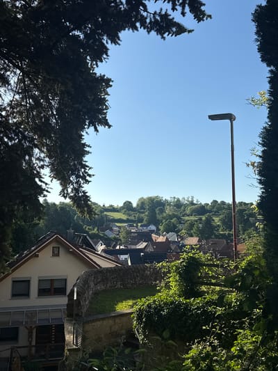 The image presents a view of Oberöwisheim, Germany, characterized by a mix of residential architecture and natural elements. A light pole, likely for street illumination, stretches into a clear blue sky, which is framed by foliage at the top of the image. A dense canopy of trees obscures the bottom left corner. Buildings with varying rooflines and designs are nestled within a lush, green landscape. A house with visible windows and an adjacent, older structure is positioned in the foreground. The scene depicts a sunny, day.