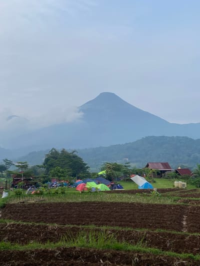 The image captures a campsite in Tamiajeng, Indonesia, bordered by terraced rice paddies. Various tents, mostly bright in color, are clustered among trees. In the background, a large, hazy mountain dominates the landscape. A few buildings are visible amidst the trees near the campsite. The overall atmosphere suggests a misty or overcast day.