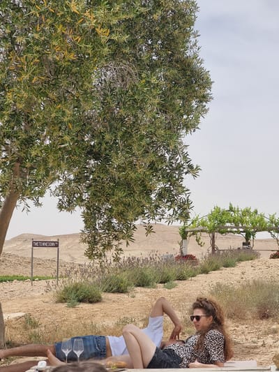 The image depicts a scene at a possible winery or recreational area in Mizpe Ramon, Israel.

Environment: The landscape is arid, possibly desert-like, with sparse vegetation. There's a beige/tan-colored wall or building structure in the background, adjacent to what appears to be an olive tree. A sign that says "TIME TO WINE DOWN RD" is planted near a path.

People: Several people are sitting. A woman with curly hair and sunglasses is wearing a leopard print shirt. Another person in a white shirt is next to her. At least two more people are also present, one wearing jeans.

Objects: There are wine glasses present, suggesting the nature of the gathering.