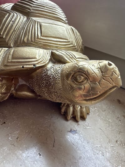 A close-up, eye-level shot features a golden tortoise figurine. The figurine's shell has a textured, segmented design. The tortoise's head is detailed, with scales and a prominent eye. The figurine rests on a light-colored, possibly marble, surface with visible veins and small specks. The background is blurred, showing a light-colored wall and a darker surface. There is no indication of a specific location within Wuppertal, Germany.
