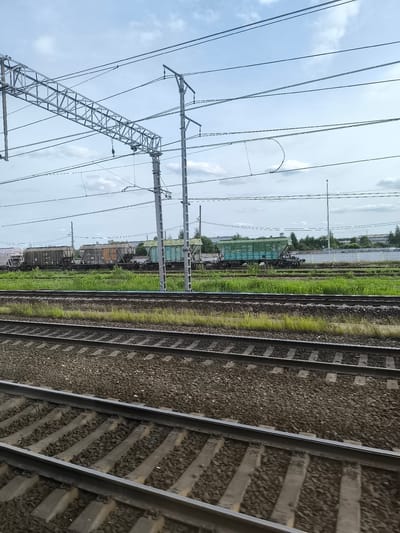 The image depicts a railway scene with multiple tracks in the foreground, covered in ballast and lined with concrete sleepers. In the mid-ground, a line of freight cars is parked on a parallel track. These appear to be various types of hoppers, some are dark-colored and weathered, while one in the distance is a bright turquoise-green. The hoppers are surrounded by lush green grass and vegetation. Overhead, a complex network of electrical catenary lines is visible, supported by tall metal poles and a large triangular metal structure. These lines suggest an electrified railway.

In the background, a white fence runs along the edge of the property, with trees and some industrial-looking buildings behind it. The sky is overcast with scattered clouds, indicating it is daytime, possibly late morning or afternoon. The overall impression is one of an active, but quiet, railway yard or a section of track on the outskirts of a town or industrial area. No people are visible in the frame. There is no discernible text in the image. The location is identified as Mga, Russia.