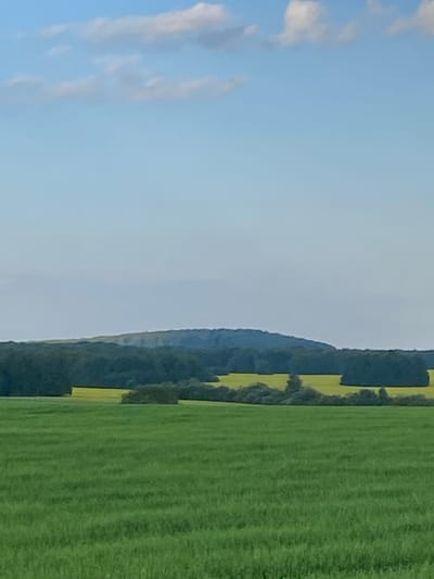 A vast, open expanse of green grass dominates the foreground of this landscape image. The grass appears lush and well-maintained, suggesting it might be a field or pasture. Beyond the green field, a strip of bright yellow, likely a flowering crop such as rapeseed or sunflowers, stretches across the middle ground. This vibrant yellow contrasts with the deep green of trees that line the horizon.

Further in the distance, a large, undulating hill or mountain range is visible. The slopes of this elevated land are covered in a dense forest of dark green trees. The sky above is a clear, pale blue, with a few wispy white clouds scattered across it, indicating fair weather.

The overall impression is one of a serene and picturesque rural landscape, possibly located in the countryside near Taktamysh, Russia, given the agrarian elements and the vastness of the open spaces. No people or specific structures are visible in the image. The scene is devoid of any human activity.