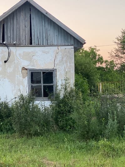 The image depicts the exterior of a dilapidated, two-story building, likely a house, located in Grigoriopol, Moldova. The building has a weathered, off-white stucco exterior with visible cracks and peeling paint. A prominent crack runs vertically down the wall to the right of the window. The window itself is old, with a grey wooden frame and multiple panes, some of which appear to be broken or missing. Above the stucco portion of the building, the upper section is clad in weathered, light blue wooden planks, with some gaps revealing the interior. Electrical wires are attached to the exterior wall with ceramic insulators. The building is surrounded by overgrown vegetation, including tall grass and dense bushes, which obscure the lower part of the structure and extend towards the foreground. In the background, a yellow metal fence is partially visible behind the foliage, and trees with green foliage are seen against a pale, hazy sky, suggesting it may be dusk or dawn. The overall scene conveys a sense of abandonment and neglect.