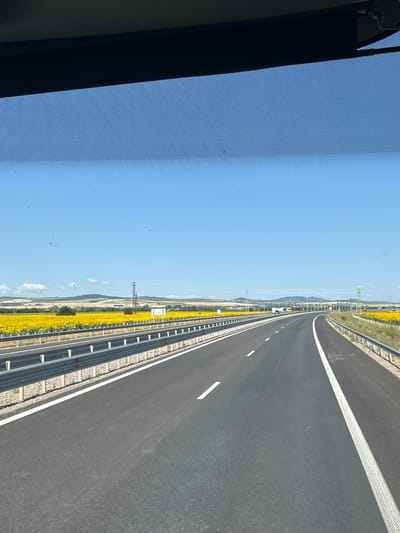 The image depicts a highway with a sunflower field to the left and right, stretching towards a hazy horizon. The highway has two lanes in the visible direction, separated by a dashed white line. A guardrail runs along the edge of the highway. The sky is clear and blue. The scene appears to be a rural or semi-rural area. There is no visible indication of the city of Prolesha, Bulgaria, in the image.