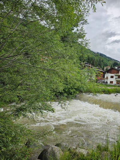 The image depicts a lively river flowing through a mountainous landscape, likely in Pontagna, Italy. The river, a milky white with turbulent currents, occupies the right side of the frame. On the left, lush green foliage, predominantly trees with slender branches and long, narrow leaves, dominates the foreground. Behind the trees and the river, a hillside rises, covered in dense green trees and dotted with buildings. These structures appear to be multi-story houses or chalets, with white and brown facades and dark roofs, suggesting a village or small town nestled into the mountainside.

The sky above is overcast with dramatic, streaky clouds, indicating a possibly cool or unsettled weather day. The overall impression is one of natural beauty with human habitation integrated into the environment. The scene is tranquil yet dynamic, with the powerful flow of the river contrasting with the stillness of the vegetation and buildings. There is no visible text within the image. The time of day is not clearly discernible due to the overcast conditions, but the quality of light suggests it could be midday or early afternoon.