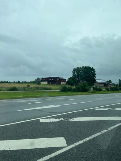 The image captures a rural scene in Aseri, Estonia, under a cloudy sky. In the foreground, a wet asphalt road features white lane markings and directional arrows. Beyond the road, a grassy field with scattered white flowers slopes upwards towards a cluster of buildings. A large, dark red building with white-trimmed windows and a dark roof is prominent, situated next to a smaller, cream-colored structure with a similar roofline. Further to the right, another building with a light-colored facade and a dark, sloped roof, possibly equipped with solar panels, is visible. A large, mature tree with dark green foliage stands between the buildings. The environment appears to be a roadside view of agricultural or residential properties. There are no people or animals visible in the image.