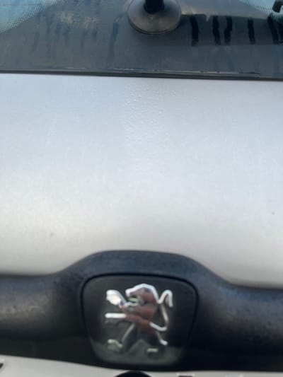 The image presents a forward-facing view from inside a vehicle situated in Brežice, Slovenia. The upper section displays the interior surface of a windshield, marked by visible condensation or streaks, and includes a black suction cup mount attached to the glass in the upper left quadrant. The central portion of the frame is occupied by a light-colored surface, presumably the vehicle's hood or a dashboard reflection, which exhibits numerous small, irregular surface anomalies or textures. The lower part of the image features a black, textured plastic trim piece. Centered within this trim is a reflective, chrome-colored Peugeot lion emblem. No individuals or discernible actions are present in the scene.