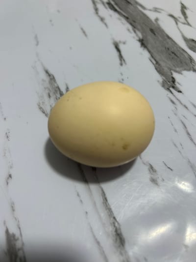 A single, light yellow egg rests on a marble-patterned surface. The surface is predominantly white with dark gray, vein-like markings. The egg is positioned slightly to the left of the center of the frame, casting a soft shadow to its left and below. The lighting appears to be from the top left, creating highlights on the egg's surface. The scene is static and does not depict any specific location within Дедемель, Kyrgyzstan, as there are no identifying features of that city present in the image.