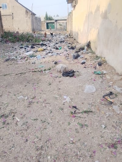 An alleyway is filled with scattered garbage, including plastic bags and other debris. Three animals, possibly goats or dogs, are visible in the distance, scavenging amidst the litter. Buildings flank either side of the alley, with a green gate visible at the far end. The ground is a mix of dirt and trash, suggesting neglect and poor sanitation.
