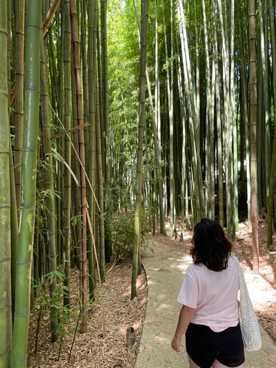 A person with dark, wavy hair and a light pink t-shirt and black shorts walks on a gravel path through a dense bamboo forest. The person is carrying a white lace bag over their right shoulder. The bamboo stalks are tall and green, with some older, browner stalks interspersed. The ground is covered with fallen bamboo leaves. Sunlight filters through the canopy, creating dappled light on the path and the bamboo. This scene is located in the Bosque de Bananas in Águeda, Portugal.