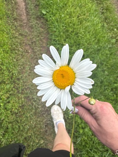 A close-up, overhead shot captures a person holding a single daisy with white petals and a yellow center. The daisy is positioned slightly off-center to the right. The person's hand, visible in the lower right quadrant, is holding the stem of the daisy, with a small, closed bud also on the stem. A portion of the person's legs and feet are visible in the lower half of the image, wearing white sneakers and black shorts. A black bag is partially visible in the bottom left corner. The background consists of lush green grass and a dirt path, suggesting an outdoor, natural setting. No specific landmarks or indicators place this scene within Pozdyshki, Russia.