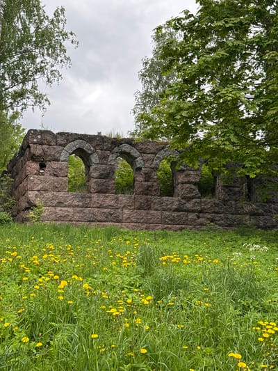 The image shows a ruined stone structure with three arched openings, surrounded by a grassy field with numerous yellow dandelions. The structure is made of large, rough-hewn stones and appears aged and weathered. Trees partially obscure the structure on both sides. The sky is overcast. The location is Aleksandrovka, Russia.