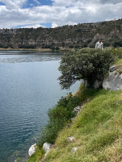 A person stands on a grassy embankment overlooking a body of water. The person is wearing a light-colored long-sleeved shirt, dark pants, and a cap. They are positioned behind a dense green bush, with only their torso and head visible. The embankment is covered in green grass and scattered rocks, with a large tree leaning over the water to the left of the person. The water itself is calm and reflects the cloudy sky. In the background, a steep, rocky hillside covered in vegetation rises from the far shore of the water. The sky is partly cloudy with white and gray clouds. This scene appears to be located at Laguna Aljojuca, a volcanic crater lake in Aljojuca, Mexico.