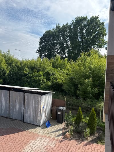 A bright, daytime, outdoor shot depicts a communal waste bin area and a storage structure, likely in Marki, Poland, given the context. The foreground is paved with interlocking red and grey bricks, with a sharp shadow cast by the storage structure onto the bricks, indicating the sun is to the left. The storage structure itself is made of corrugated galvanized metal with three separate compartments, each with a front door. A bright blue shovel leans against the rightmost section of the storage structure. To the right of the storage structure, a brown and a black waste bin stand side-by-side. Beyond the bins, a small garden bed contains two conical evergreen trees, some lavender bushes, and smaller plants, with a rock present in the foreground of the garden. A wire mesh fence runs behind the garden bed, separating it from a densely vegetated area of lush green trees and foliage. In the background, two streetlights are visible, along with the tops of large trees. The sky above is partly cloudy with streaks of white clouds against a blue sky. The right edge of the image shows the exterior of a building with wooden siding. No people are present in the scene.