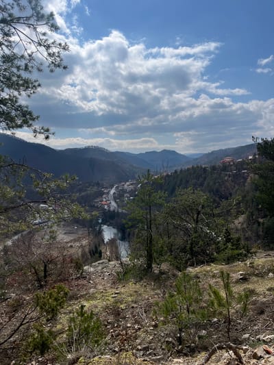 The image presents an elevated panoramic view of the city of Srednogortsi, Bulgaria, situated within a mountainous river valley under a partly cloudy blue sky. In the immediate foreground, a rocky, sparsely vegetated hillside slopes downwards, featuring visible dirt, dry grass, small coniferous saplings, and bare branches from deciduous trees. Several pine branches with green needles extend into the upper left portion of the frame. Below this vantage point, a light blue-green river flows through the valley, paralleled by a winding, reflective paved road. The city of Srednogortsi occupies both sides of the river and road, extending up the lower slopes of the surrounding hills. It is characterized by numerous buildings, many of which feature distinctive red-tiled roofs. Beyond the city, successive ranges of forested and partially barren mountains rise, receding into the distance under a sky marked by scattered cumulus clouds and patches of clear blue. No individuals, vehicles, or active interactions are discernibly present within the captured scene.