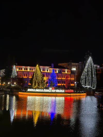 The image captures a vibrant night scene in Eskisehir, Turkey, showcasing a building and its surroundings adorned with an elaborate light display. The main subject is a multi-story building, possibly a government or municipal building, illuminated with colorful lights. Its windows and architectural details are outlined in warm orange and white lights, with a section featuring red lights.
In front of and around the building, several large, conical tree-like structures made of string lights are prominent. These installations vary in color, with one large one appearing in bright white lights, another in deep blue, and a third in golden yellow, suggesting festive decorations. Another smaller white light structure is visible further down the bank.
The lights from the building and the illuminated structures are vividly reflected in the calm body of water in the foreground, creating striking horizontal bands of white, red, blue, and yellow across the surface. This reflection enhances the overall magical and festive atmosphere of the scene. The time of day is clearly night, with the dark sky providing a stark contrast to the brilliant lights.
Visible text on the building, illuminated in white, reads "2026", "HEP BİRLİKLE ESKİŞEHİR", and "SEVGİYLE, EMEKLE, ÖZENLE H...". These phrases, particularly "ESKİŞEHİR", confirm the location context. The display suggests a public celebration, possibly for a new year or a significant city event, emphasizing community and dedication as indicated by the text.