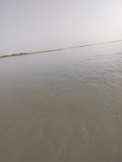 The image displays a wide expanse of murky greenish-gray water, identified as the Benue River in Ibi, Nigeria, under a pale, diffused sky. The water occupies the majority of the frame, with subtle ripples and areas of lighter surface disturbance indicating currents. A narrow, low-lying distant shoreline is visible along the horizon line, characterized by a sandy or earthen bank sparsely populated with low vegetation, particularly towards the left. The sky above is a uniform light gray to white, featureless and indicative of overcast conditions or atmospheric haze. No individuals, vessels, or artificial structures are discernible within the visible area.