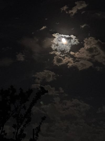 The image displays a nocturnal sky over Griboyedov, Armenia. A bright, partially obscured moon is centered in the upper-mid section, surrounded by numerous clouds. The moon illuminates the edges and undersides of the clouds, which vary in density and form, appearing in shades of white, gray, and dark gray against the deep black sky. In the lower-left quadrant, the dark silhouette of a tree's upper branches and foliage is visible. No human subjects or discernible actions are present.