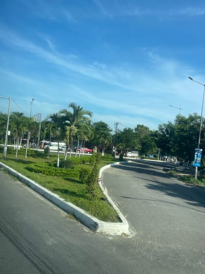 This is a street-level, eye-level, full-shot image taken on a sunny day in Diên Lạc, Vietnam. The scene features a curving asphalt road with a white concrete curb and a grassy median strip with small bushes and palm trees. Several palm trees and other green trees line the background. A few motorcycles and a white van are visible on the road in the distance. A red pickup truck is parked on the side of the road. There are streetlights and power lines visible. A blue and white sign is posted on a pole on the right side of the road. The sky is a clear blue with scattered white clouds.