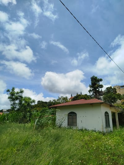 In the city of Xuan Son, Vietnam, a white, single-story house with a red-tiled roof stands partially overgrown with tall green grass and small white flowers. The house has arched windows with dark bars and appears unoccupied. Behind the house, a dense line of various green trees and foliage rises up a hillside. In the distance, a taller, modern building with a beige facade is visible on the upper part of the hill. The sky above is a bright blue, dotted with scattered white, fluffy clouds. A dark power line stretches diagonally across the upper portion of the frame. The overall impression is one of a rural or semi-rural setting with a touch of neglect, under a vast sky.